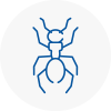 Ant Removals In Eston