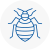 Bed Bug Extermination In Eston
