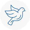 Bird Prevention Eston