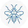 Eston Hornet Nest Removals