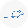 Mice Exterminators In Eston