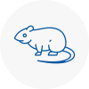 Rat Control Eston
