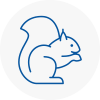 Eston Rodent Removals