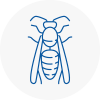 Eston Wasp Nest Removal